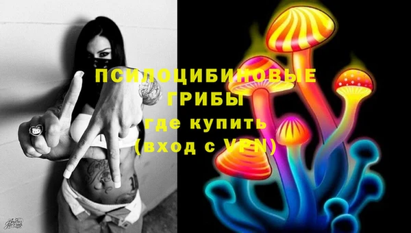 бошки Армянск