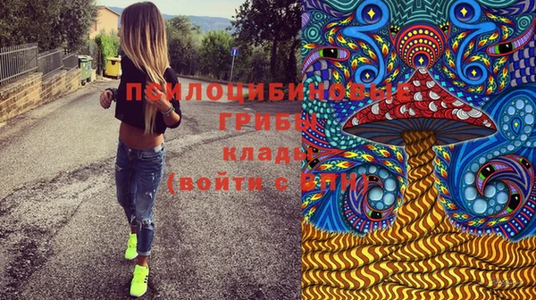 бошки Армянск