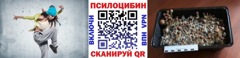 маркетплейс официальный сайт  Новоалександровск  Галлюциногенные грибы мицелий 