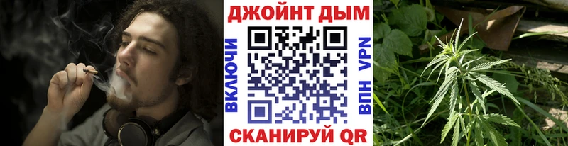Конопля сатива  магазин продажи наркотиков  Новоалександровск 